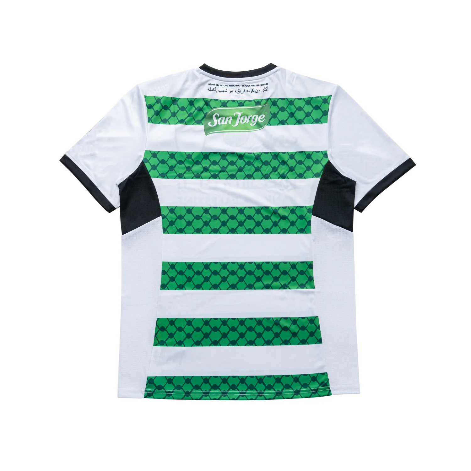 Club Deportivo Palestino Third Jersey 24/25 - Image 2