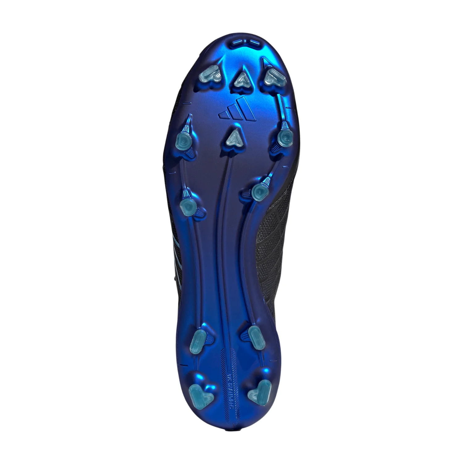 F50 Elite FG Spider - Image 4