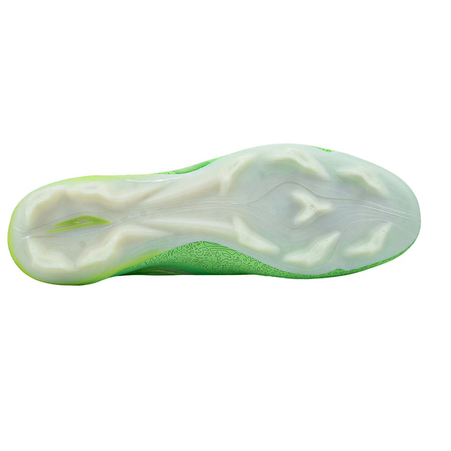Scudetta FG - Mr Lulu - Image 3